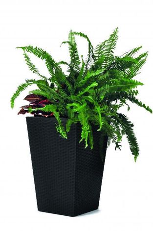 Rattan planter S